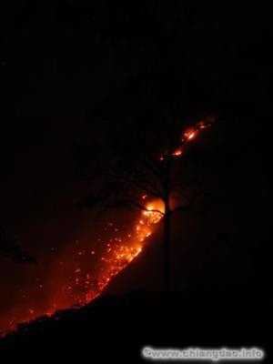 thumbs/0041---Burning-Mountain--0002.jpg